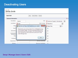 SFDC User Setup | PDF
