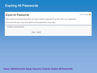 SFDC User Setup | PDF
