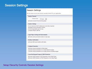 SFDC User Setup | PDF
