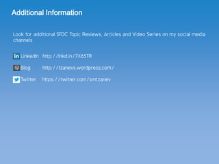 SFDC User Setup | PDF