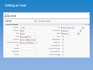 SFDC User Setup | PDF