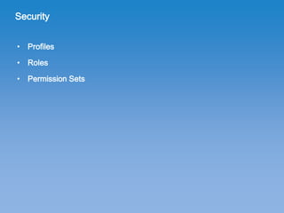 SFDC User Setup | PDF