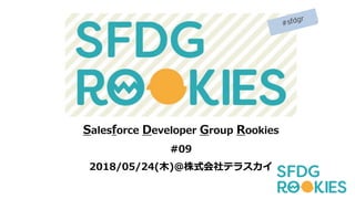 Salesforce Developer Group Rookies
#09
2018/05/24(木)＠株式会社テラスカイ
 