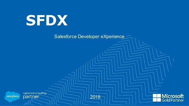 Sfdx Presentation