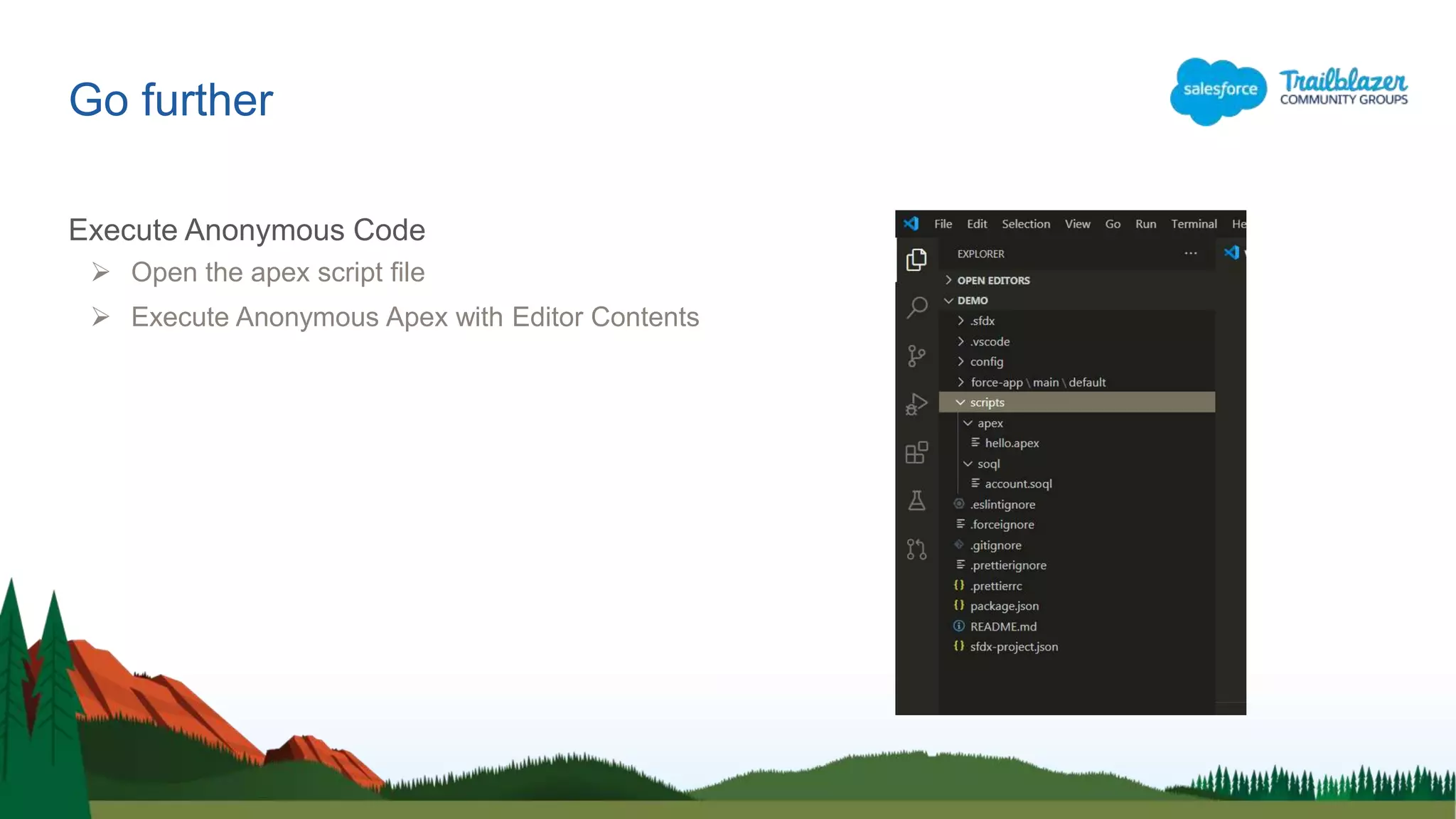 Go further
Execute Anonymous Code
 Open the apex script file
 Execute Anonymous Apex with Editor Contents
 