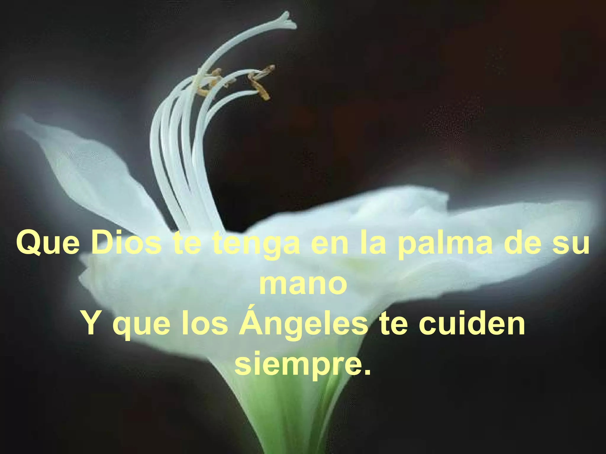 Que Dios te tenga en la palma de su mano Y que los Ángeles te cuiden siempre. 