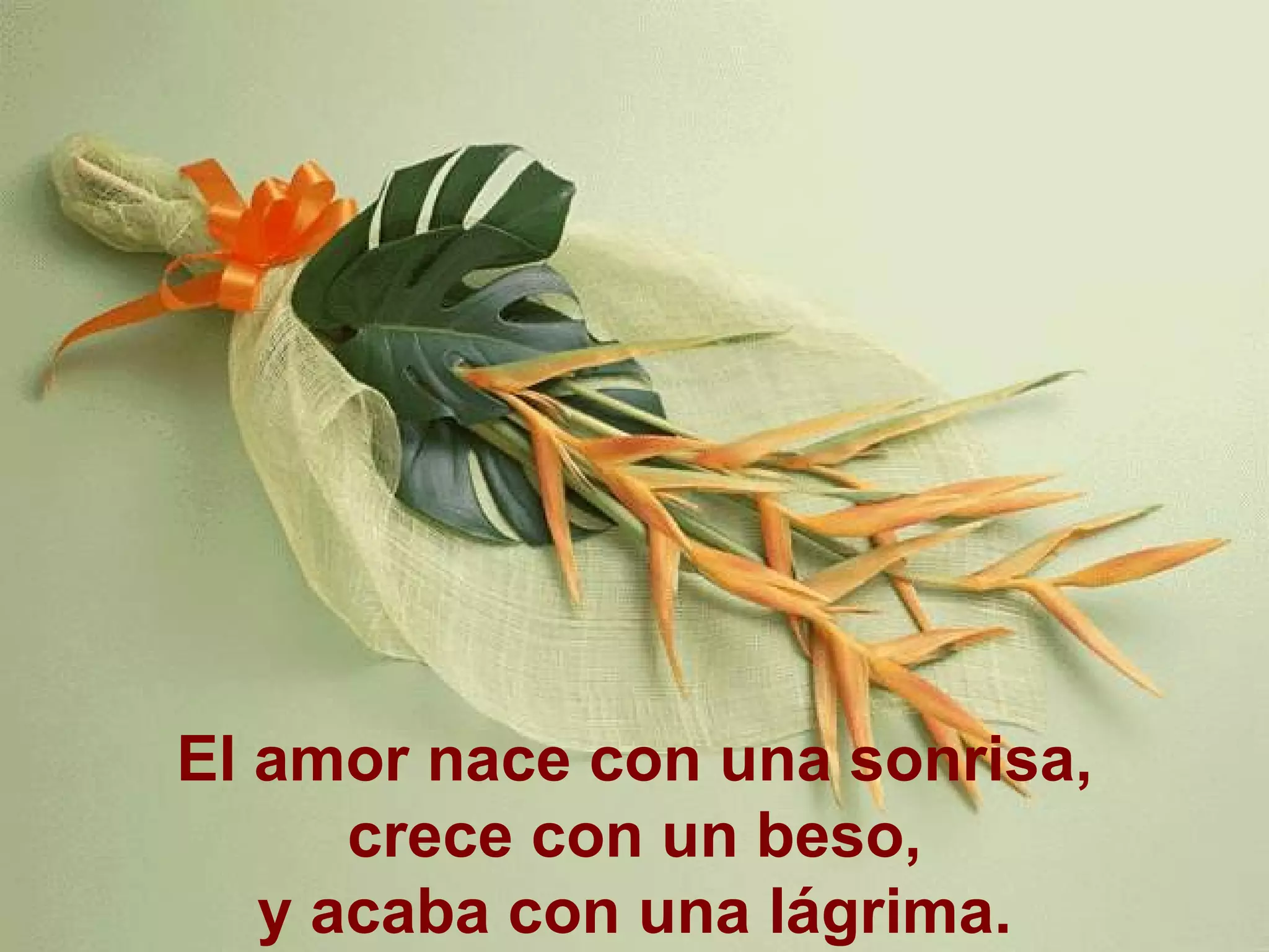 El amor nace con una sonrisa,  crece con un beso, y acaba con una lágrima. 