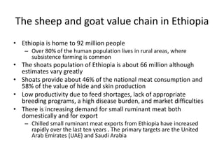 Safe Food, Fair Food, Ethiopia: Rapid assessment report 2014