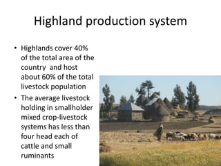 Safe Food, Fair Food, Ethiopia: Rapid assessment report 2014