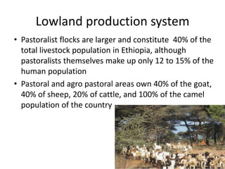 Safe Food, Fair Food, Ethiopia: Rapid assessment report 2014