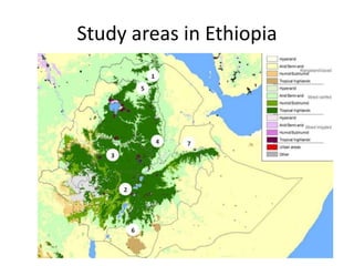 Safe Food, Fair Food, Ethiopia: Rapid assessment report 2014