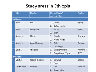 Safe Food, Fair Food, Ethiopia: Rapid assessment report 2014