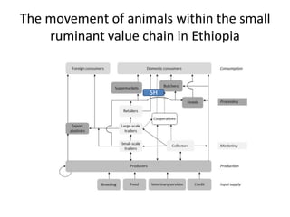 Safe Food, Fair Food, Ethiopia: Rapid assessment report 2014