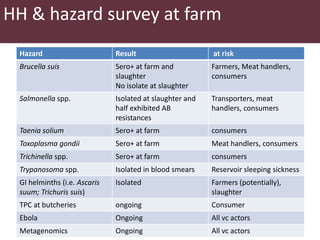 Safe Food Fair Food, Uganda: Rapid assessment report 2014