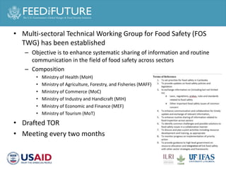 Cross cutting activities: Gender, capacity building and taskforce