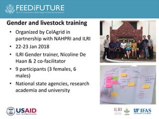 Cross cutting activities: Gender, capacity building and taskforce