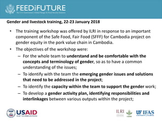 Cross cutting activities: Gender, capacity building and taskforce