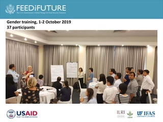 Cross cutting activities: Gender, capacity building and taskforce