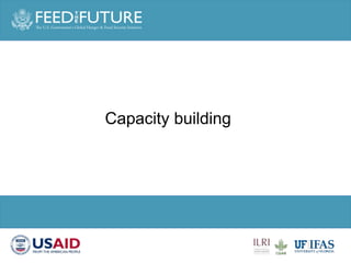 Cross cutting activities: Gender, capacity building and taskforce