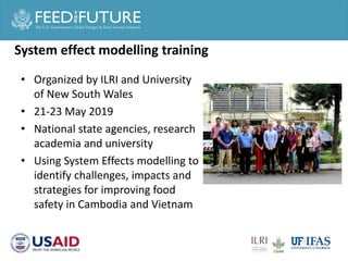 Cross cutting activities: Gender, capacity building and taskforce