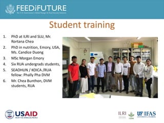 Cross cutting activities: Gender, capacity building and taskforce