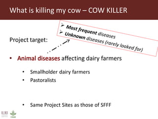 Sokoine University of Agriculture progress on safe food fair food and cow killer projects