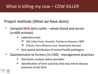 Sokoine University of Agriculture progress on safe food fair food and cow killer projects
