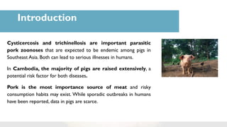 Low prevalence of cysticercosis and Trichinella infection in pigs in rural Cambodia