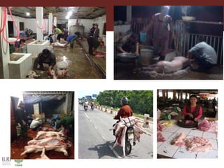 Safe food, fair food in South East Asia: Research and policy