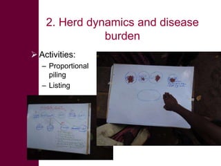 Safe Food, Fair Food: Introduction to the value chain assessment toolkit 