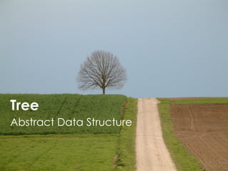 Tree 
Abstract Data Structure 
 