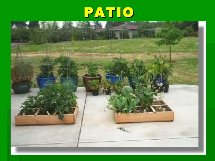 Square Foot Gardening