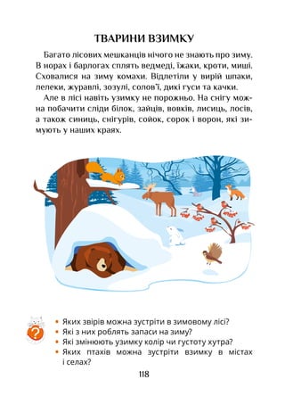 118
ТВАРИНИ ВЗИМКУ
Багато лісових мешканців нічого не знають про зиму.
В норах і барлогах сплять ведмеді, їжаки, кроти, миші.
Сховалися на зиму комахи. Відлетіли у вирій шпаки,
лелеки, журавлі, зозулі, солов’ї, дикі гуси та качки.
Але в лісі навіть узимку не порожньо. На снігу мож-
на побачити сліди білок, зайців, вовків, лисиць, лосів,
а також синиць, снігурів, сойок, сорок і ворон, які зи-
мують у наших краях.
•	 Яких звірів можна зустріти в зимовому лісі?
•	 Які з них роблять запаси на зиму?
•	 Які змінюють узимку колір чи густоту хутра?
•	 Яких птахів можна зустріти взимку в містах
і селах?
?
 
