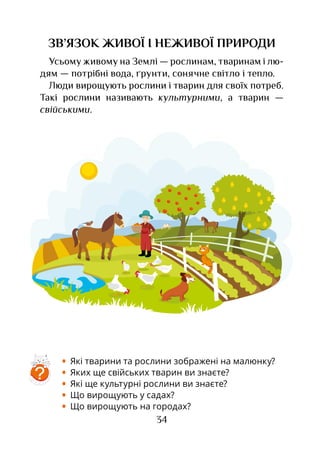 34
ЗВ’ЯЗОК ЖИВОЇ І НЕЖИВОЇ ПРИРОДИ
Усьому живому на Землі — рослинам, тваринам і лю-
дям — потрібні вода, ґрунти, сонячне світло і тепло.
Люди вирощують рослини і тварин для своїх потреб.
Такі рослини називають культурними, а тварин —
свійськими.
•	 Які тварини та рослини зображені на малюнку?
•	 Яких ще свійських тварин ви знаєте?
•	 Які ще культурні рослини ви знаєте?
•	 Що вирощують у садах?
•	 Що вирощують на городах?
?
 