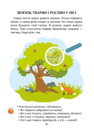 35
ЗВ’ЯЗОК ТВАРИН І РОСЛИН У ЛІСІ
Серед листя дерев живуть комахи. Птахи поїдають
комах, а також різні плоди та насіння. На гілках дерев
вони будують свої гнізда. В дуплах дерев живуть
білки. Таке скупчення тварин приваблює хижаків —
лисиць, борсуків, сов.
* Розгляньте малюнок і обговоріть:
• Які тварини зображені на ньому?
• Які з них літають, стрибають, повзають, бігають?
• Які з них є птахами, звірами, комахами?
• Хто з цих тварин травоїдний, а хто — хижий?
?
 