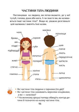 96
щиколотка
литка
•	 Які частини тіла людини є парними (по дві)?
•	 Які частини тіла називають верхніми кінцівками,
а які — нижніми?
•	 * На великому аркуші паперу обведіть контур ди-
тини й позначте на ньому частини тіла.
ЧАСТИНИ ТІЛА ЛЮДИНИ
Поглянувши на людину, ви легко вкажете, де у неї
тулуб, голова, руки або ноги. А чи знаєте ви, як назива-
ються інші частини тіла? Якщо ні, уважно розгляньте
цей малюнок і вивчіть їхні назви.
чоло
брова
вія
скроня
підборіддя
живіт
коліно
стегно
гомілка стопа
передпліччя
лікоть
плече
поперек
лопатка
маківка
потилиця
шияніздрі губи
зап’ястя
кисть
п’ята
?
 