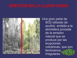 EFECTOS DE LA LLUVIA ÁCIDA Una gran parte de SO2 (dióxido de azufre)  emitido a la atmósfera procede de la emisión natural que se produce por las erupciones volcánicas, que son fenómenos irregulares. 