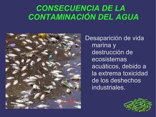 CONSECUENCIA DE LA CONTAMINACIÓN DEL AGUA Desaparición de vida marina y destrucción de ecosistemas acuáticos, debido a la extrema toxicidad de los deshechos industriales. 