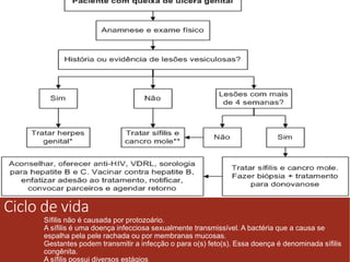 Ciclo de vida 
Sífilis não é causada por protozoário. 
A sífilis é uma doença infecciosa sexualmente transmissível. A bactéria que a causa se 
espalha pela pele rachada ou por membranas mucosas. 
Gestantes podem transmitir a infecção o para o(s) feto(s). Essa doença é denominada sífilis 
congênita. 
A sífilis possui diversos estágios 
 