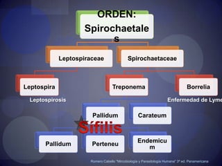 GeneralidadesRomero Cabello "Mircobiología y Parasitología Humana" 3ª ed. Panamericana