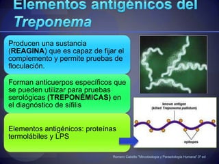 EpidemiologíaPeriodo de incubación: 2-8 semanas (3 semanas promedio)Romero Cabello "Mircobiología y Parasitología Humana" 3ª ed. Panamericana