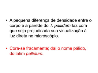 • A pequena diferença de densidade entre o
corpo e a parede do T. pallidum faz com
que seja prejudicada sua visualização à
luz direta no microscópio.
• Cora-se fracamente; daí o nome pálido,
do latim pallidum.
 