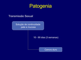 Patogenia
Transmissão Sexual
Solução de continuidade
pele e mucosa
Cancro duro
10 - 90 dias (3 semanas)
 