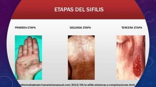 s-filis-exposici-n-de-biolog-a-nivel-de-secundaria-pptx
