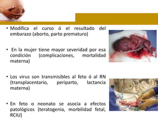 • Modifica el curso ó el resultado del
embarazo (aborto, parto prematuro)
• En la mujer tiene mayor severidad por esa
condición (complicaciones, mortalidad
materna)
• Los virus son transmisibles al feto ó al RN
(transplacentario, periparto, lactancia
materna)
• En feto o neonato se asocia a efectos
patológicos (teratogenia, morbilidad fetal,
RCIU)
 