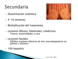  Diseminación sistémica
 4-10 semanas
 Multiplicación del treponema
 Lesiones difusas, bilaterales, simétricas
◦ Tronco, extremidades y cara
 Lesiones faciales
◦ Sifilides anulares (blancos de tiro maculopapulares en
palmas y plantas)
 10% hepatitis
Lucero. Sífilis. FARO.
 