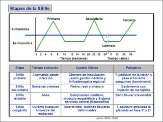 Lucero. Sífilis. FARO.
 