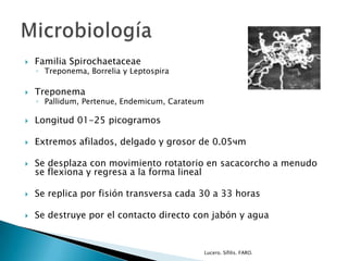  Familia Spirochaetaceae
◦ Treponema, Borrelia y Leptospira
 Treponema
◦ Pallidum, Pertenue, Endemicum, Carateum
 Longitud 01-25 picogramos
 Extremos afilados, delgado y grosor de 0.05чm
 Se desplaza con movimiento rotatorio en sacacorcho a menudo
se flexiona y regresa a la forma lineal
 Se replica por fisión transversa cada 30 a 33 horas
 Se destruye por el contacto directo con jabón y agua
Lucero. Sífilis. FARO.
 