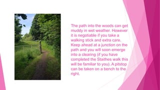 The path into the woods can get
muddy in wet weather. However
it is negotiable if you take a
walking stick and extra care.
Keep ahead at a junction on the
path and you will soon emerge
into a clearing (if you have
completed the Staithes walk this
will be familiar to you). A pitstop
can be taken on a bench to the
right.
 