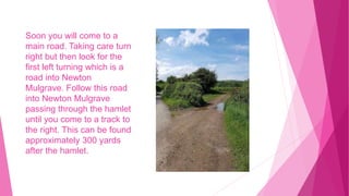 Soon you will come to a
main road. Taking care turn
right but then look for the
first left turning which is a
road into Newton
Mulgrave. Follow this road
into Newton Mulgrave
passing through the hamlet
until you come to a track to
the right. This can be found
approximately 300 yards
after the hamlet.
 